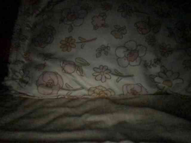 Atasya webcam