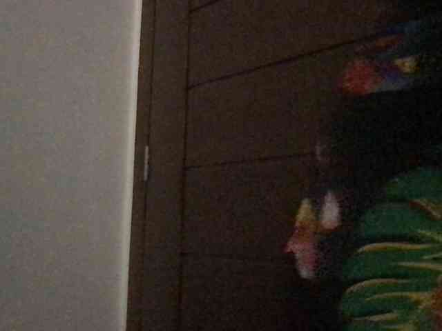 Atasya webcam