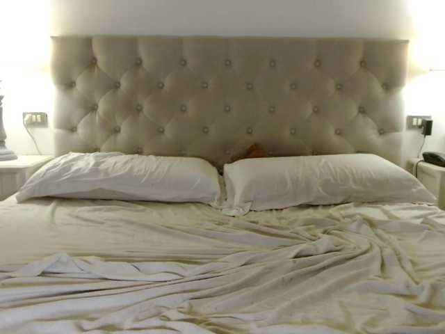 Perri-Shy live cam