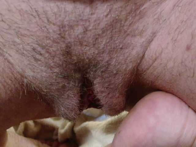 perri-shy live sex
