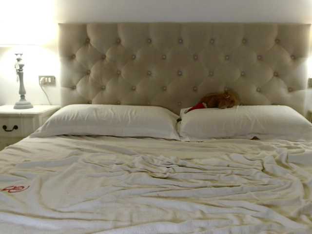Sweet_Perry live webcam show