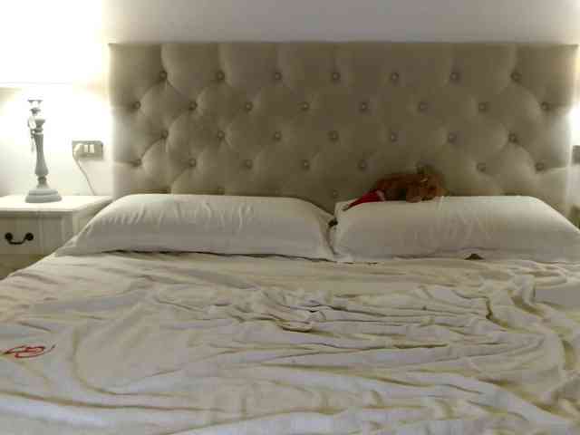 Sweet_Perry webcam