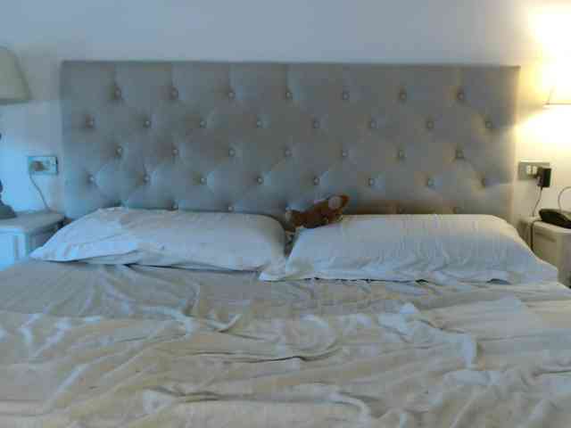 Sweet_Perry webcam