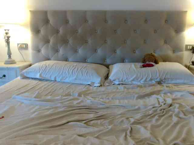 Sweet_Perry webcam