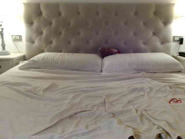 Sweet_Perry webcam