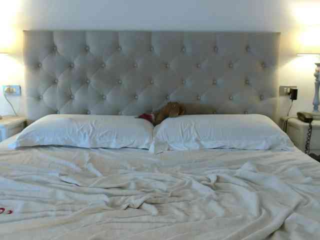 Sweet_Perry webcam