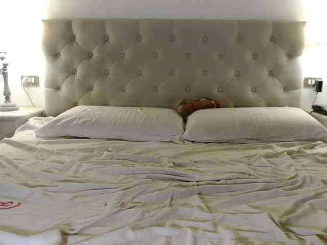 Sweet_Perry webcam