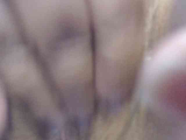 katiehotx webcam