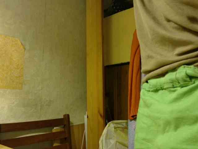 Frummi webcam