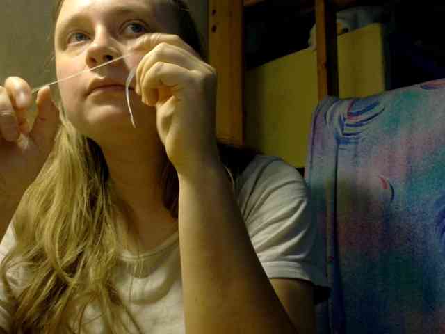 Frummi webcam