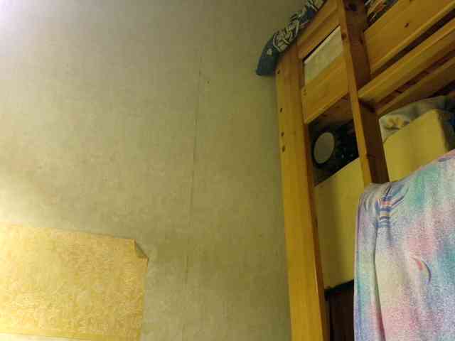 Frummi webcam