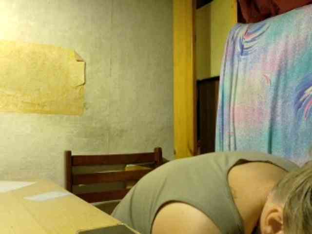 Frummi webcam