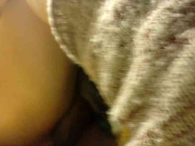Frummi webcam