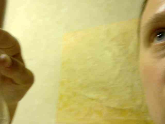 Frummi webcam