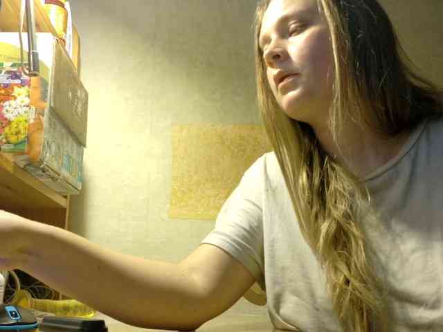 Frummi webcam
