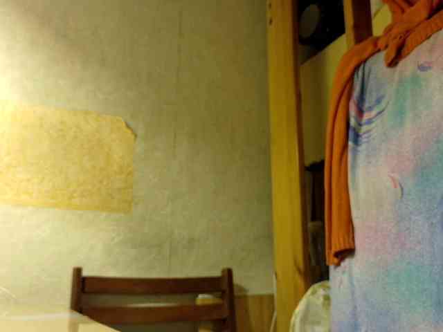 Frummi webcam