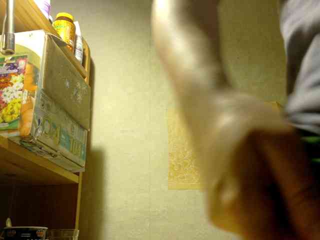Frummi webcam