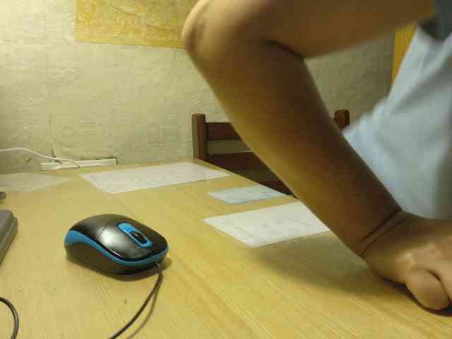 Frummi webcam