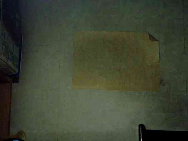 Frummi webcam