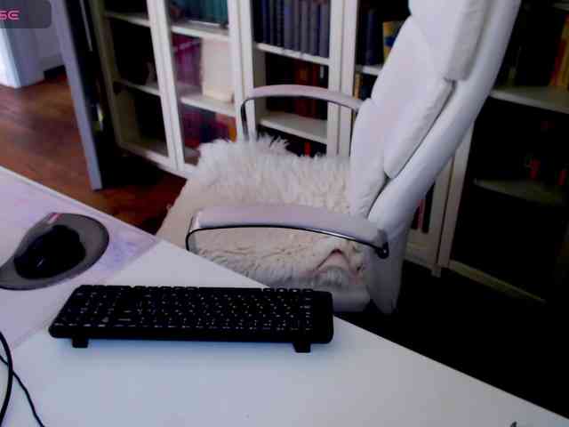 _Angelina_ webcam