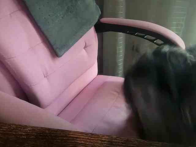 AmericnBarbie webcam
