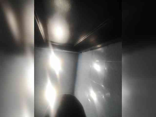 ivlevg