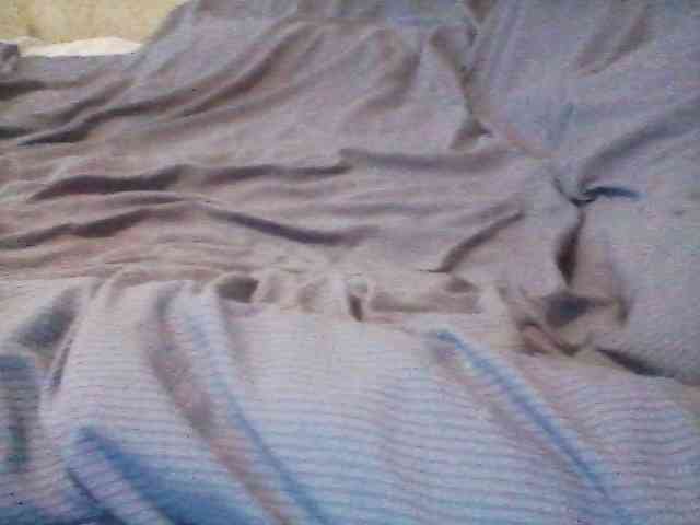 sexxnikasexx webcam