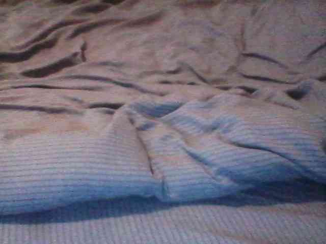 sexxnikasexx webcam