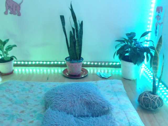 bomboncita288 cam belle