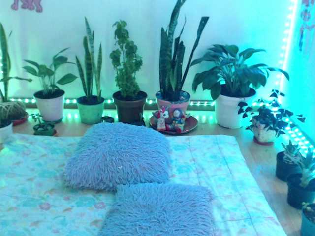bomboncita288 cam belle