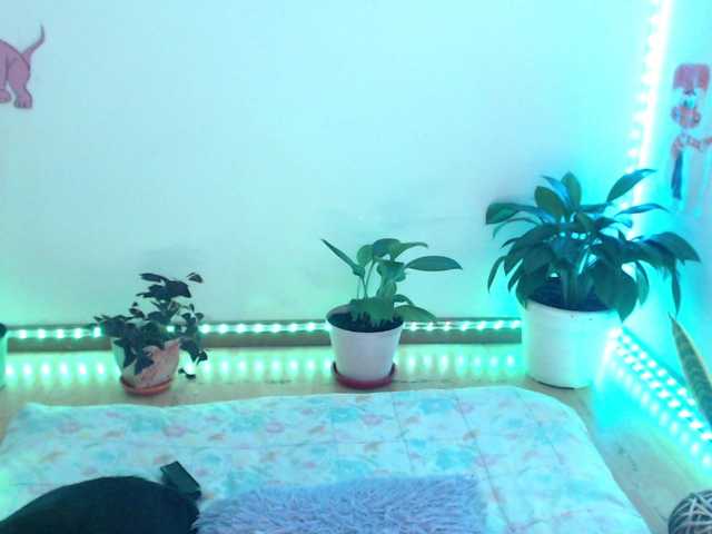 bomboncita288's BongaCams show and profile