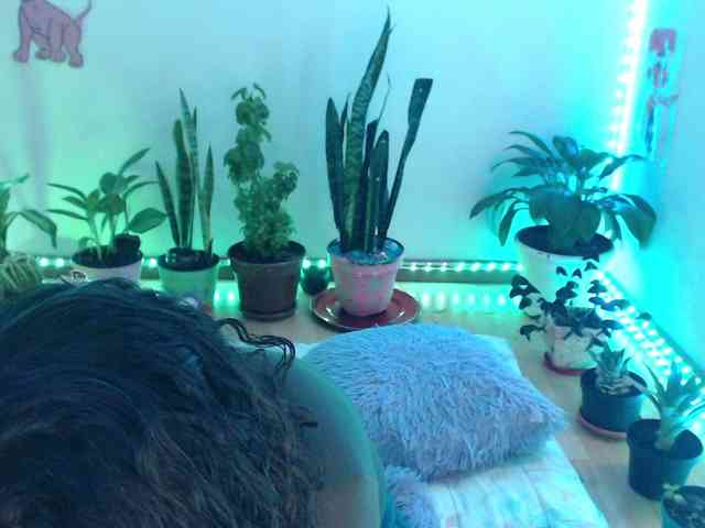 bomboncita288 webcam