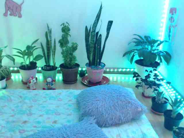 bomboncita288 webcam