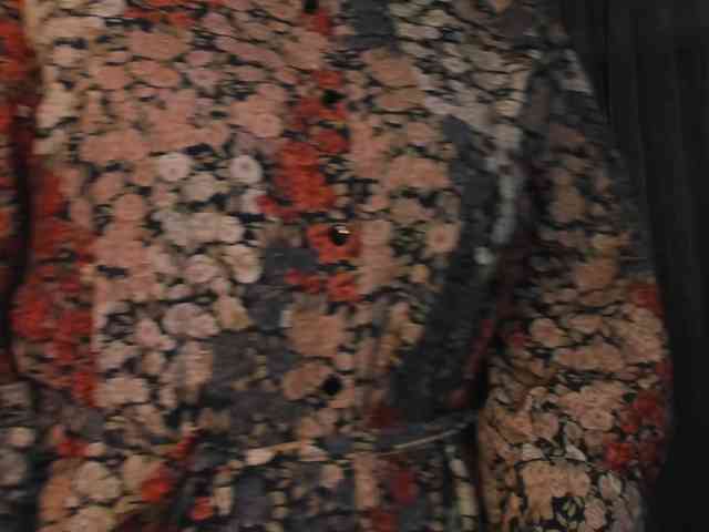 SoftVANESSA webcam