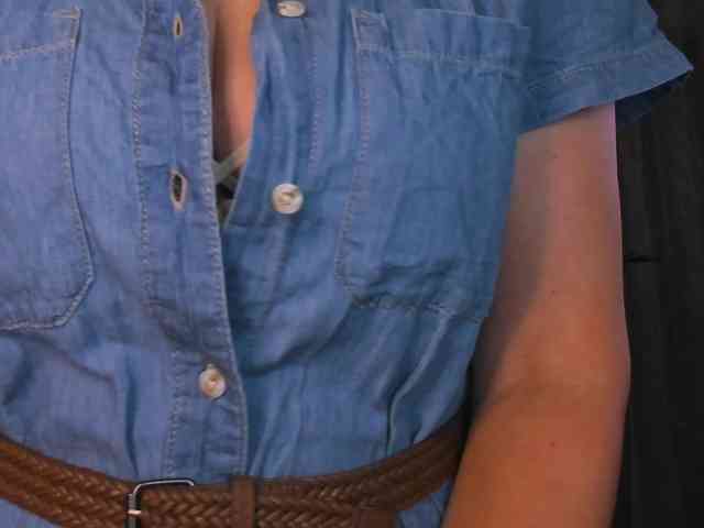 SoftVANESSA webcam