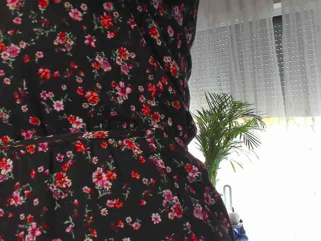 SoftVANESSA webcam
