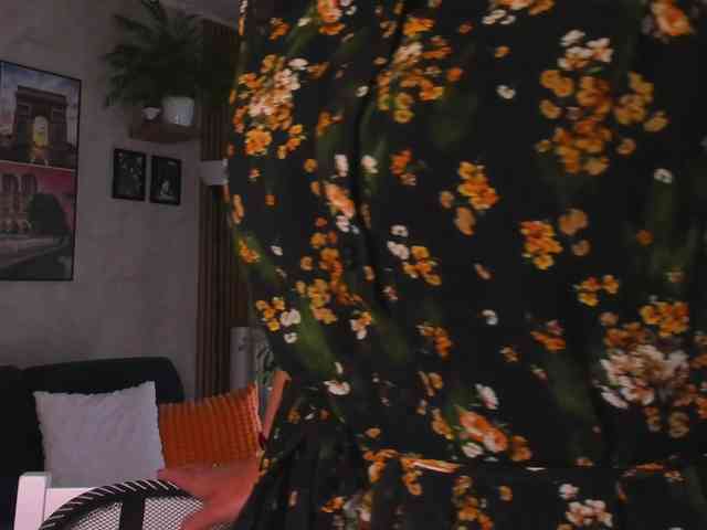 SoftVANESSA webcam