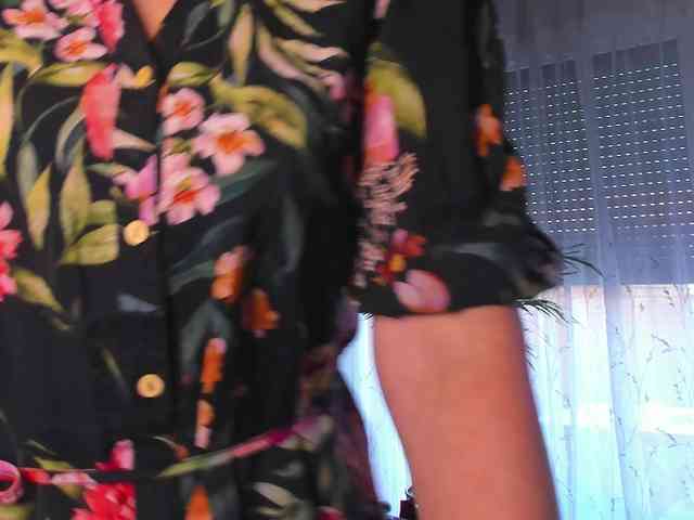 SoftVANESSA webcam