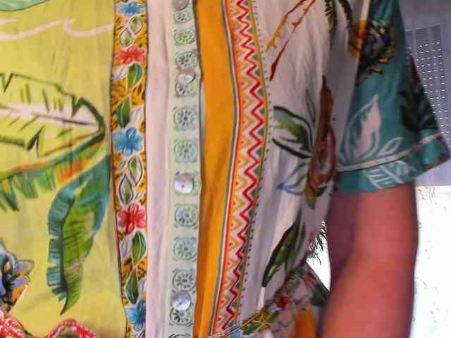 SoftVANESSA webcam
