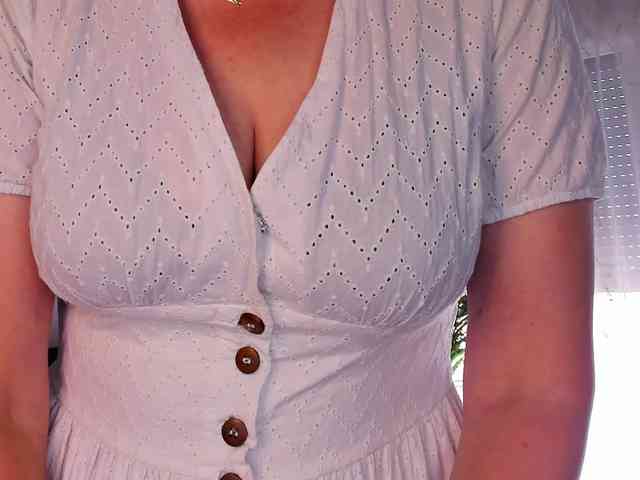 SoftVANESSA webcam
