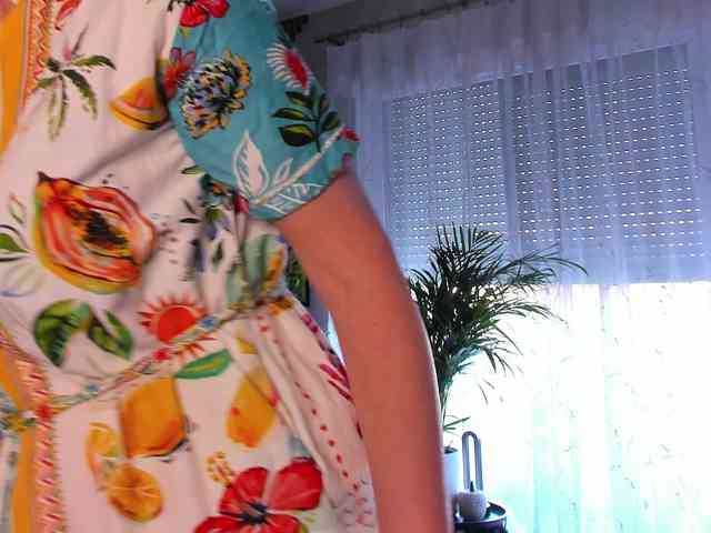 SoftVANESSA webcam
