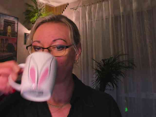SoftVANESSA webcam