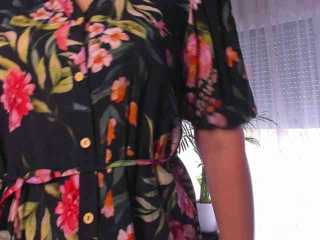 SoftVANESSA webcam