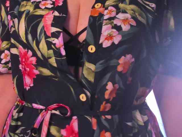 SoftVANESSA webcam