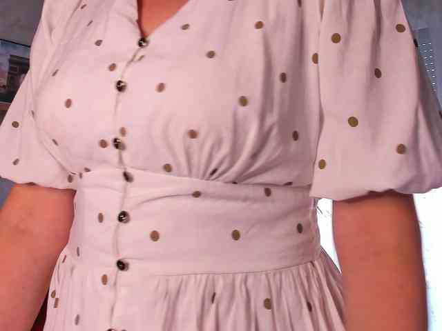 SoftVANESSA webcam