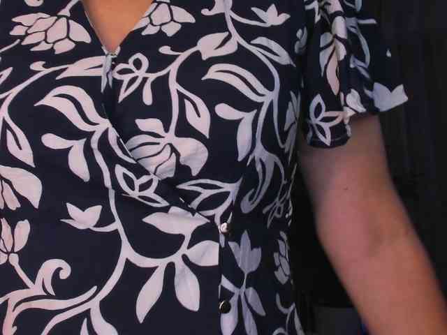 SoftVANESSA webcam