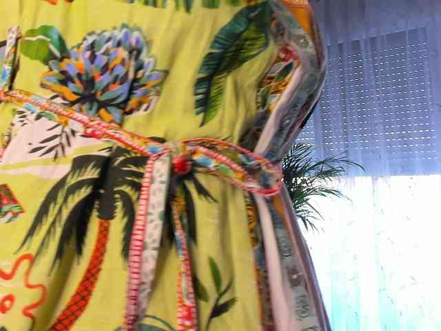 SoftVANESSA webcam