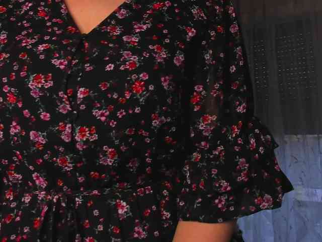 SoftVANESSA webcam