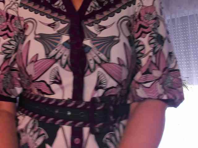 SoftVANESSA webcam