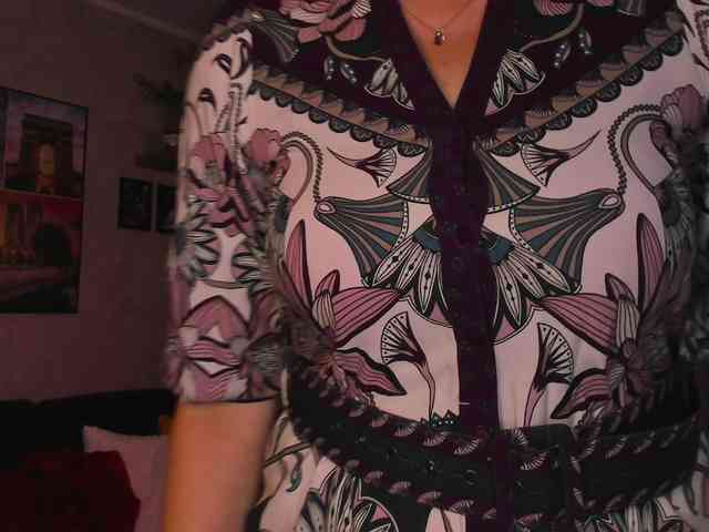 SoftVANESSA webcam